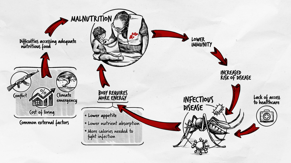 The malnutrition cycle