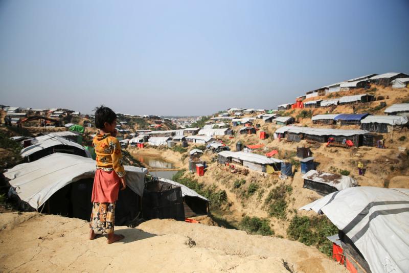 Rohingya crisis: a summary of findings from six pooled surveys