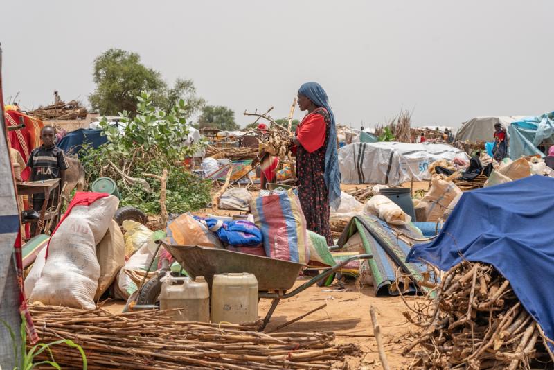 Chad: Doctors Without Borders appeals for immediate response to Sudanese refugee crisis 