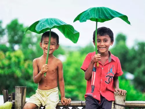 The Taro Leaf: A Symbol for the Rohingya Experience