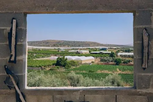 Palestinians are left reeling by the violence of the Israeli occupation in the West Bank