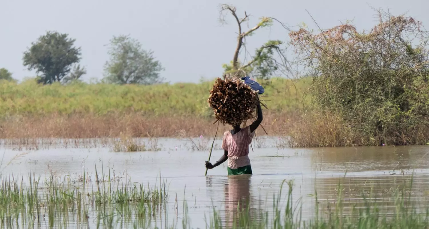A woman wades through floodwaters in Rubkona country in Bentiu to collect firewood. South Sudan, November 2021 © Njiiri Karago/MSF