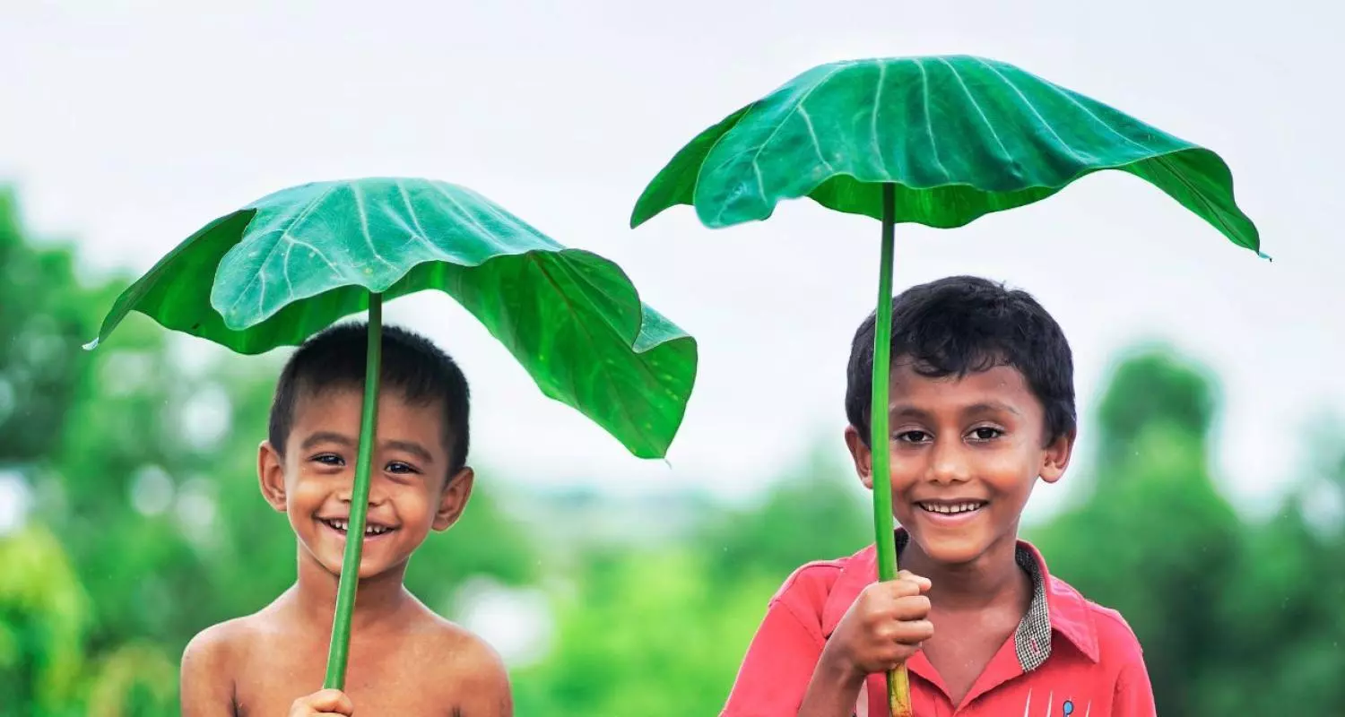 Rohingya boy using taro leaves as umbrellas 