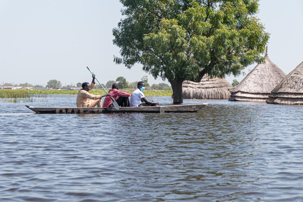 Men in a canoe navigate the flood waters in Bentiu, Unity state, where people’s homes and livelihoods (crops and cattle), as well as health facilities, schools, and markets, are completely submerged by floodwaters. © Njiiri Karago/MSF 