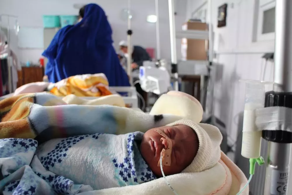 Premature babies put on treatment in the neonatal ward of the MSF maternity in Khost.
