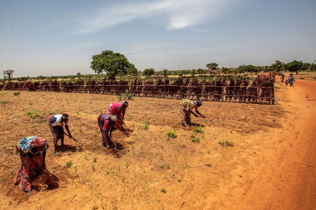 Farmers cultivating their lands near the village of Riko in Nigeria. © George Osodi