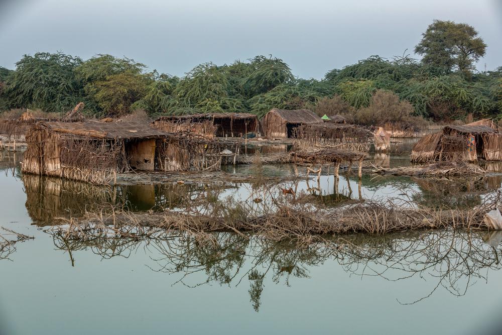 A view of huts submerged in rainwater at a village near Khipro, Sanghar, Sindh province, Pakistan.