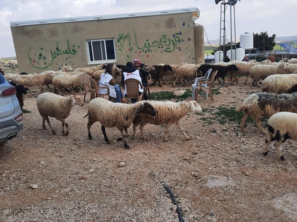 The herding communities are forced to keep their sheep within the community because they cannot go into the mountains for natural grazing due to increased violence and movement restrictions by Israeli forces and settlers.