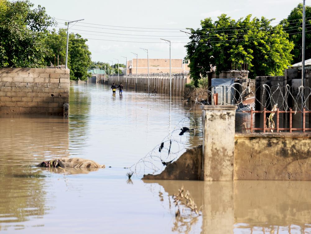 Maiduguri 2