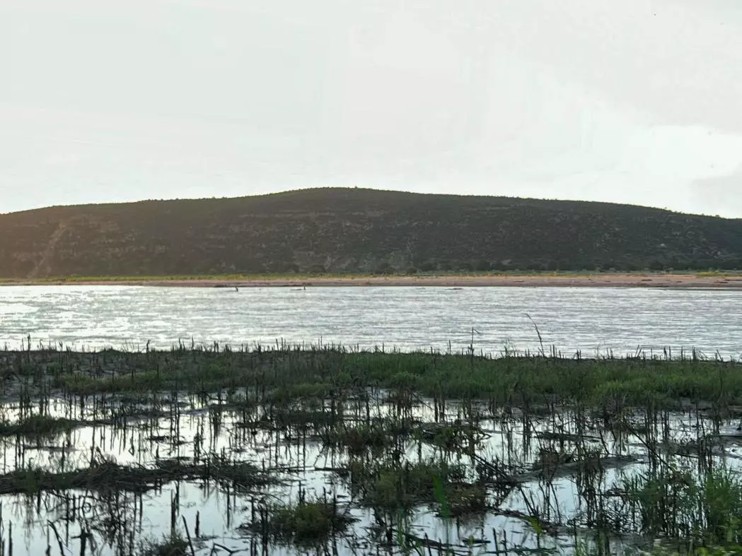 The land still flooded after the passage of Cyclone Honde, Madagascar
