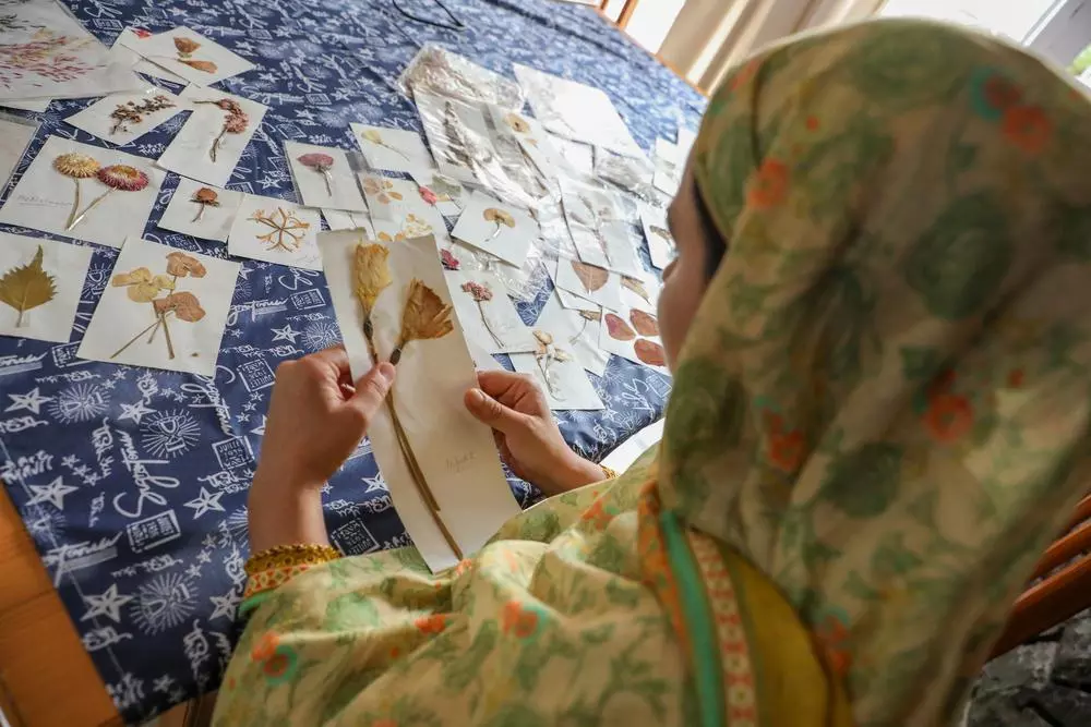 MSF mental health supervisor, collects and preserves flowers to create artistic collages