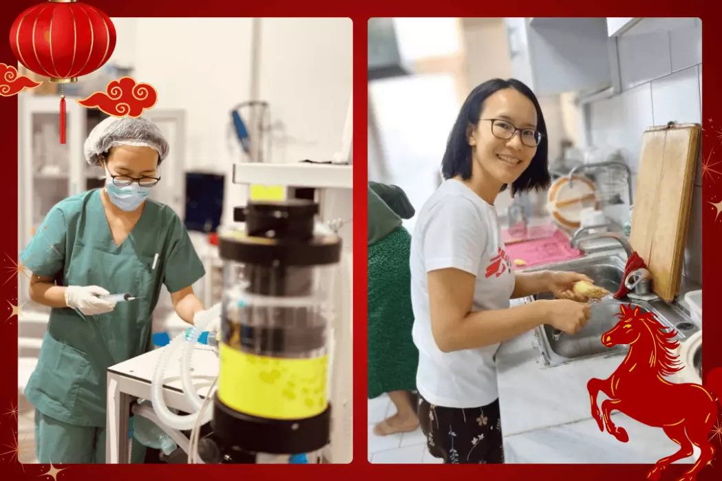 Lunar New year 2026 Dr Annie 
