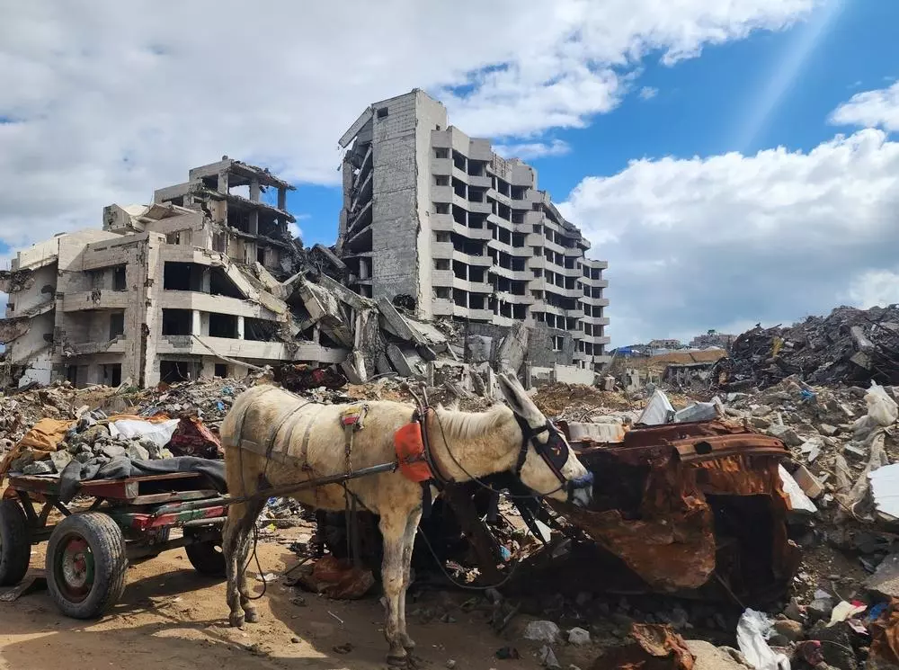 Destroyed building in Karama neighbourhood in Gaza City