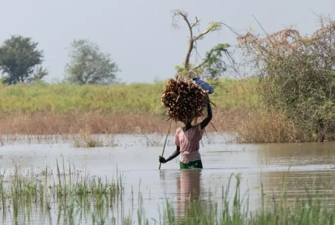 Climate Emergency: What can you do to help? 