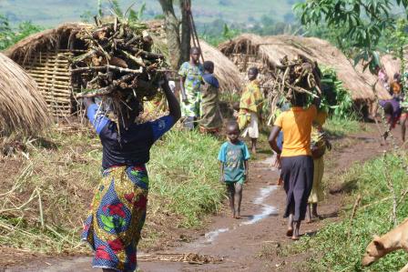 Humanitarian action reaching its limits in Ituri, Democratic Republic of Congo