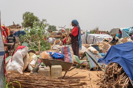 Chad: Doctors Without Borders appeals for immediate response to Sudanese refugee crisis 